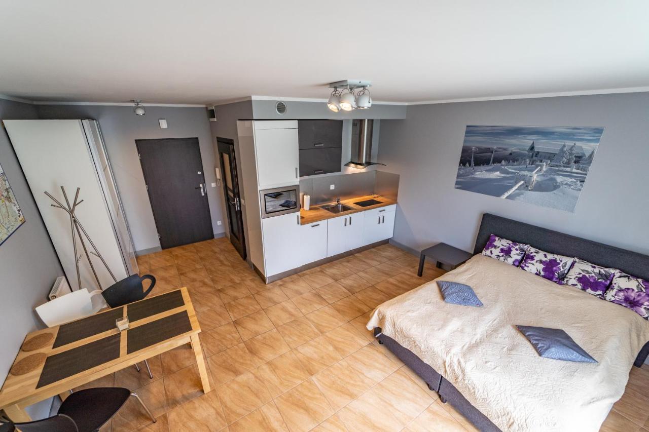 Apartament Zielony Zakatek Сверадув-Здруй Экстерьер фото